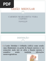 LESÃO  MEDULAR.trabalhopwrp.pptx
