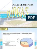 Biogas