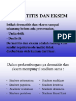 Dermatitis Dan Eksem1