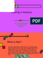 Littering in America