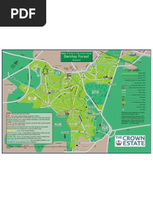 swinley forest bike park