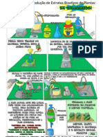 Protocolo para Produção de Extratos Bioativos de Plantas - em Quadrinhos Color