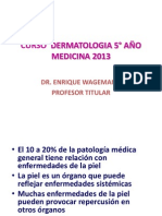 Curso Dermatología 5° Año Medicina 2013