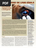 BORRELIOSE DE LYME-SÍMILE EM EQUINOS