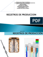 Registro de Producción