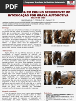 OTITE MÉDIA EM EQUINO DECORRENTE DE INTOXICAÇÃO POR GRAXA AUTOMOTIVA