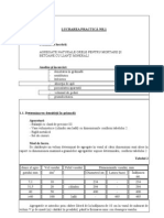 Lucrare de Laborator Agregate PDF
