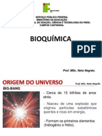 Aula 1 -Bioquímica