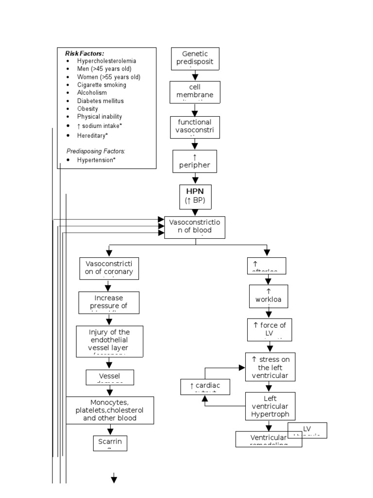 Congestive Heart Failure Pathophysiology | PDF | Heart Failure | Heart