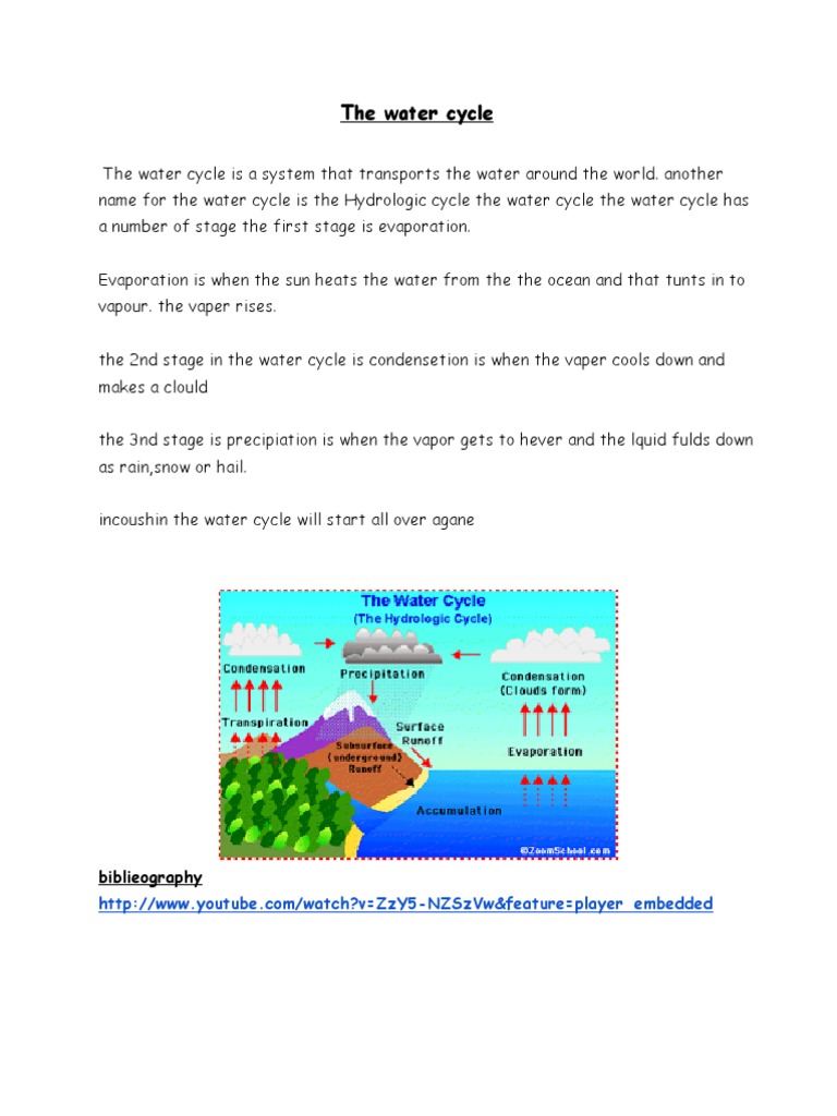 Understanding Condensation in the Water Cycle | PDF