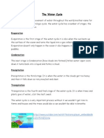 The Water Cycle: Evaporation