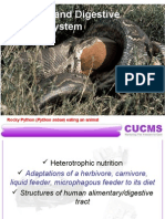 Chapter 8 - Digestive System