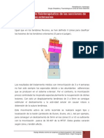 7.6.tratamiento_fisoterapeutico_de_los_tendonesextensores.pdf