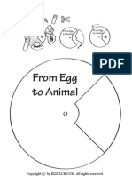 From Egg To Animal