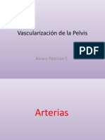 43627508 Vascularizacion de La Pelvis