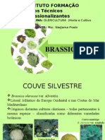 brassicaceae.ppt