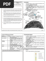 Download Photosynthesis Notes by Sulthan Ramiz SN134156947 doc pdf