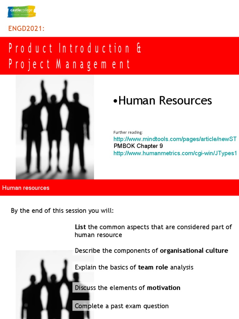 Human Resource Motivation Insights | PDF | Motivation | Motivational