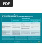 Cartaz Profilaxia Raiva Humana Com Vacina