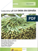 Cultivo Okra Espanha