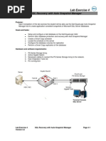 SQL Recovery With Auto Snapshot Manager: Lab Exercise 4