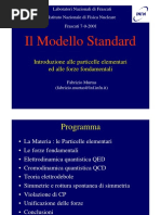 Il Modello Standard,  Introduzione alle Particelle Elementari ed alle Forze Fondamentali