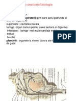 Notiuni de anatomofiziologie.ppt