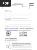 atividades aparelho reprodutor