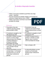 Biogeo Ano1 Biologia Respiracao Aerobia e Anaerobia Celinemateus