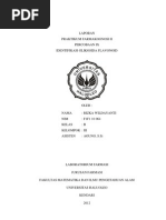 Download Laporan Praktikum Farmakognosi 9 - Identifikasi Glikosida Flavonoid by Kosong SN134205575 doc pdf
