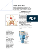 SISTEMA RESPIRATÓRIO