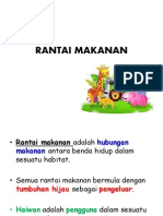 Rantai Makanan