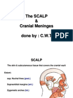 The SCALP Meninges