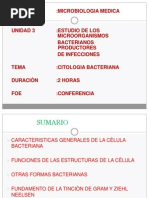 Download Citologa bacteriana by Renee Hill SN134237642 doc pdf