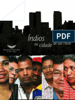 LIVRO - Indios em São Paulo