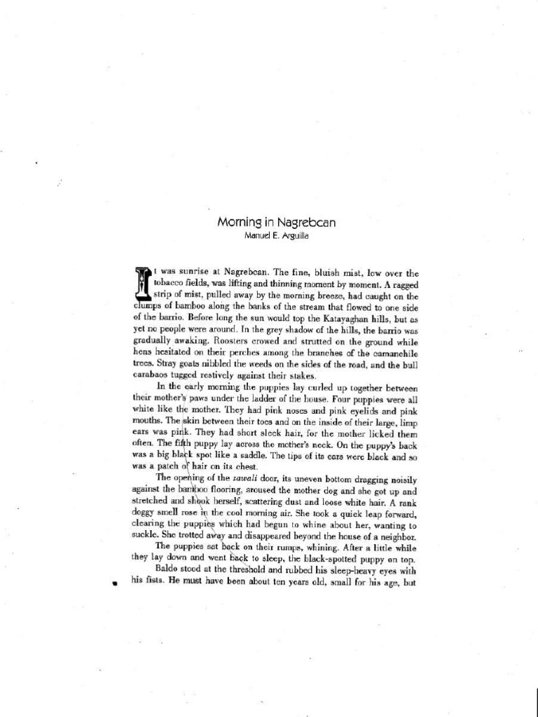 Morning in Nagrebcan PDF