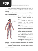 Função Circulatória