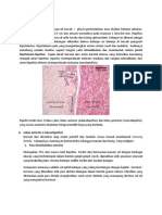 LI Case 13-Histologi Hipofisis,Hormon,Fungsi