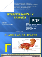 SECRECIÓN DE LA SALIVA