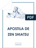 42458484 Apostila de Zen Shiatsu