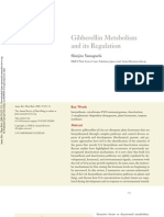 Gibberellin Metabolism