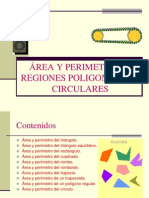 5558100 Areas y Perimetros