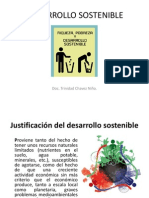 Desarrollo Sostenible