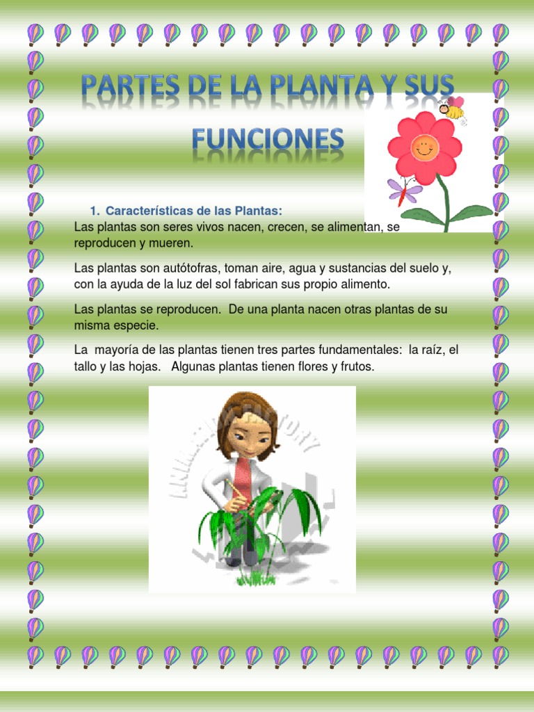 Partes y funciones de las plantas | PDF | Tallo de la planta | Raíz