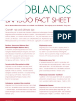 Bamboo Fact Sheet