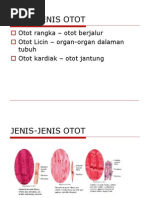 Faktor-Faktor Mempengaruhi Personaliti  PDF