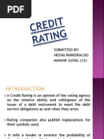 Credit Rating Heena
