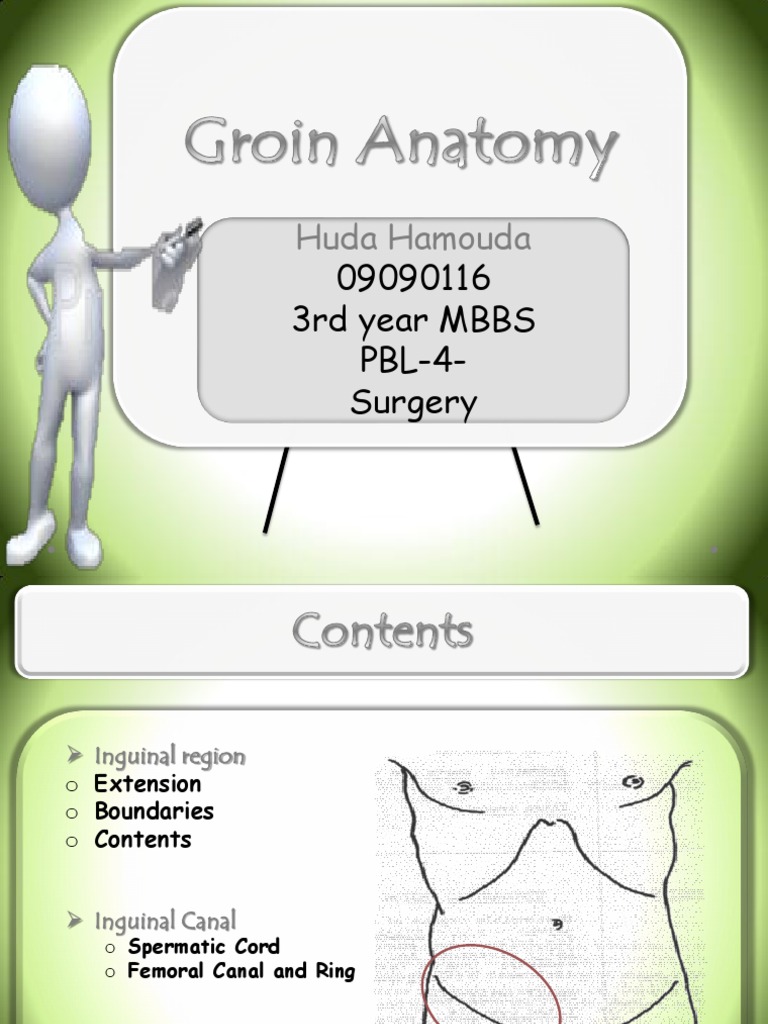 Anatomy of The Groin | PDF | Wellness