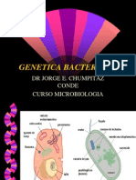 g Bacteriana1