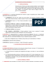 CADERNO - ATUAL - PROC. CIVIL - Cópia